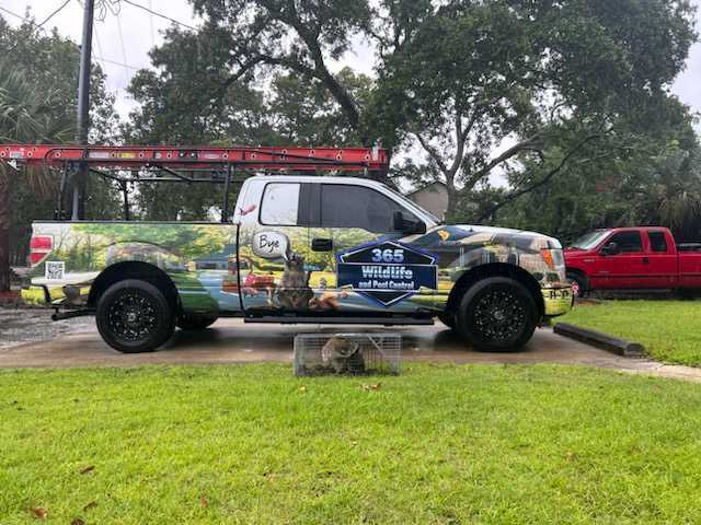 Wrapped Pest control and Wildlife removal truck- Myrtle Beach SC